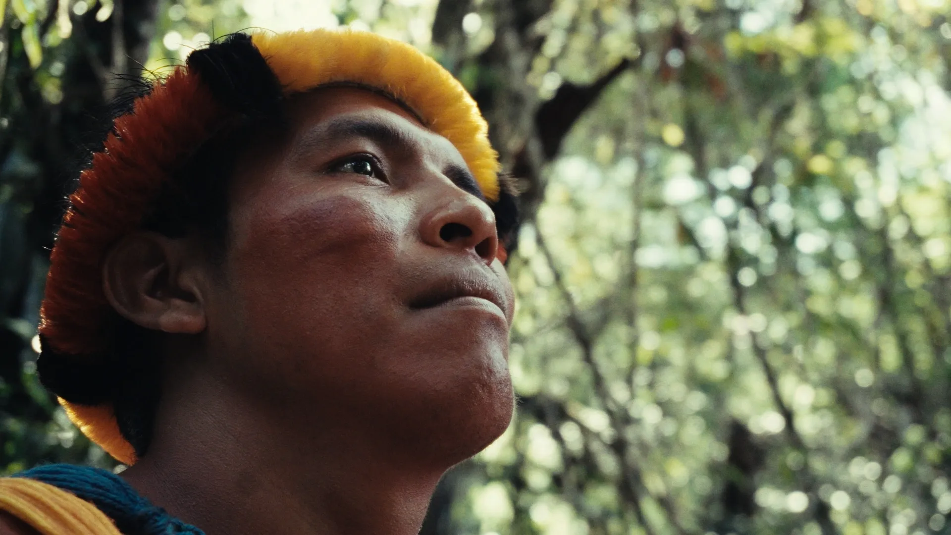 A man in a forest stares out into the distance.