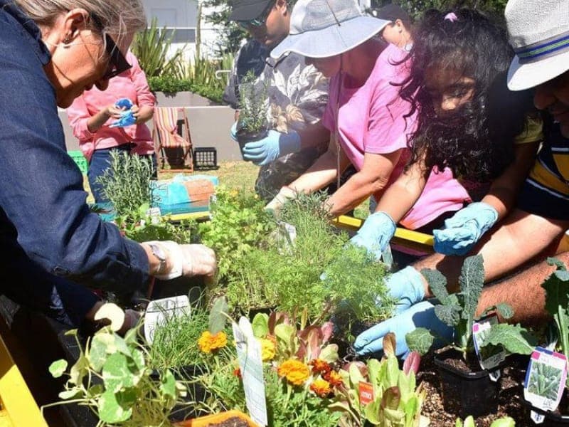A group of people around a table full of plant seedlings